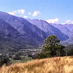 Alla scoperta delle erbe spontanee della Valle Stura con Germinale