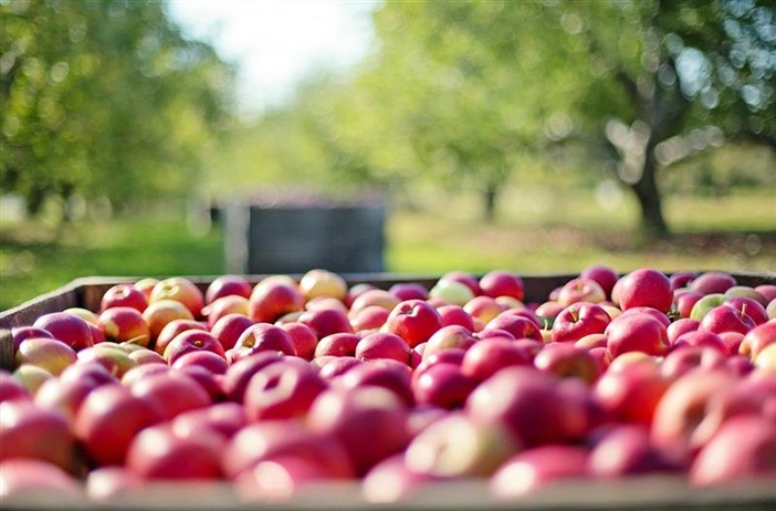 Cuneo, rinnovo dei contratti per i comparti confezionamento e ortofrutta