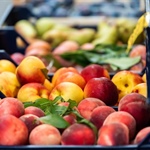 Ortofrutta e vivai, tavolo in Regione. Legacoop Piemonte: “Tutele alle imprese per garantire la continuità delle produzioni”