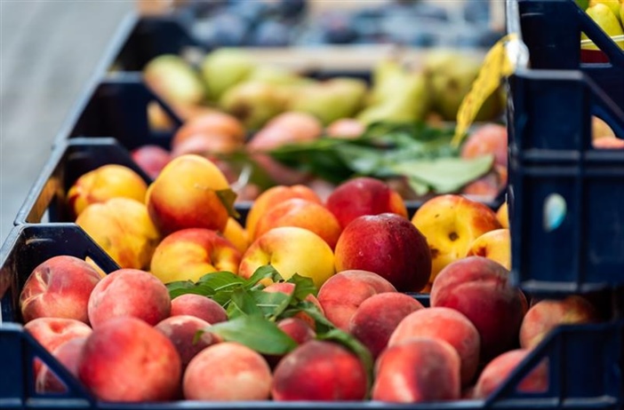 Ortofrutta e vivai, tavolo in Regione. Legacoop Piemonte: “Tutele alle...