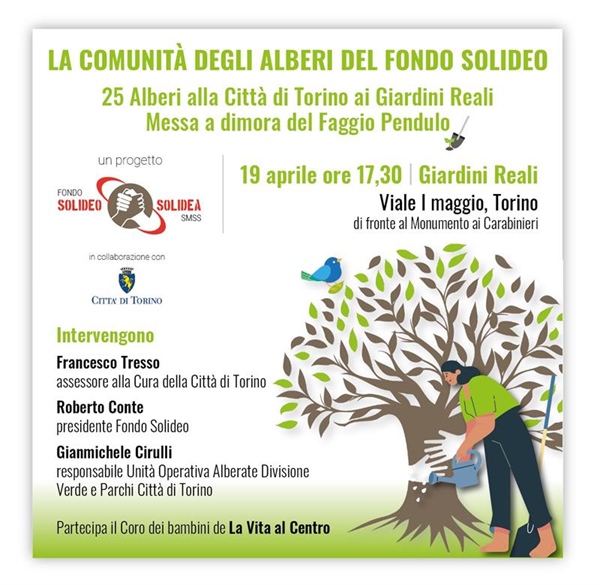 La comunità degli alberi del Fondo Solideo ai Giardini Reali di Torino