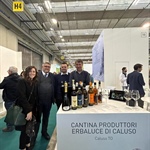 Produttori Erbaluce di Caluso, Merlo presidente del Consorzio per la tutela e valorizzazione: “Promuoviamo il vitigno dell’anno 2023”