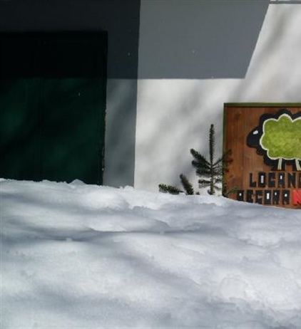 Botteghe dei servizi: la cooperativa Germinale tra i vincitori del...