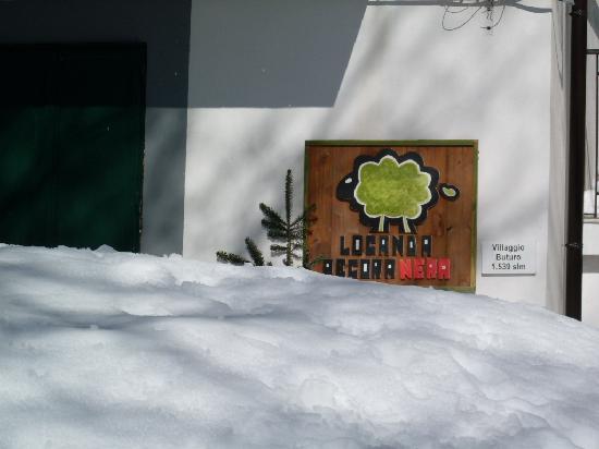Botteghe dei servizi: la cooperativa Germinale tra i vincitori del bando della Regione Piemonte