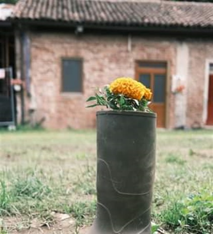 Il Margine per l'Emilia Romagna