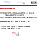 Webinar RNS Venerdì 7 luglio ore 12.30 – “Responsabilità civile e risarcimento del danno nel rapporto di lavoro”