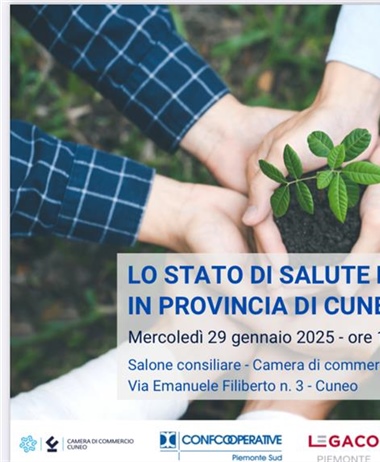 Stato di salute delle cooperative in provincia di Cuneo 2023/2024:...