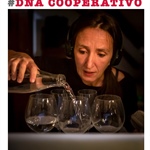 Cooperativa CMC
