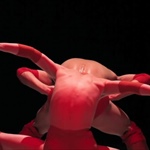 STALKER TEATRO - Officine Caos