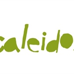 Progetto Caleidos Cooperativa Animazione Valdocco