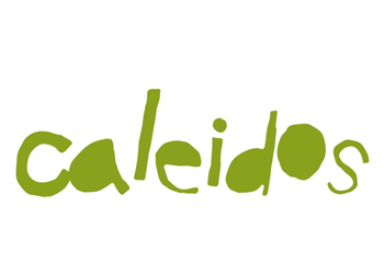 Progetto Caleidos Cooperativa Animazione Valdocco